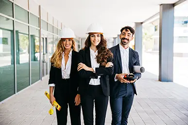 Servicios Profesionales